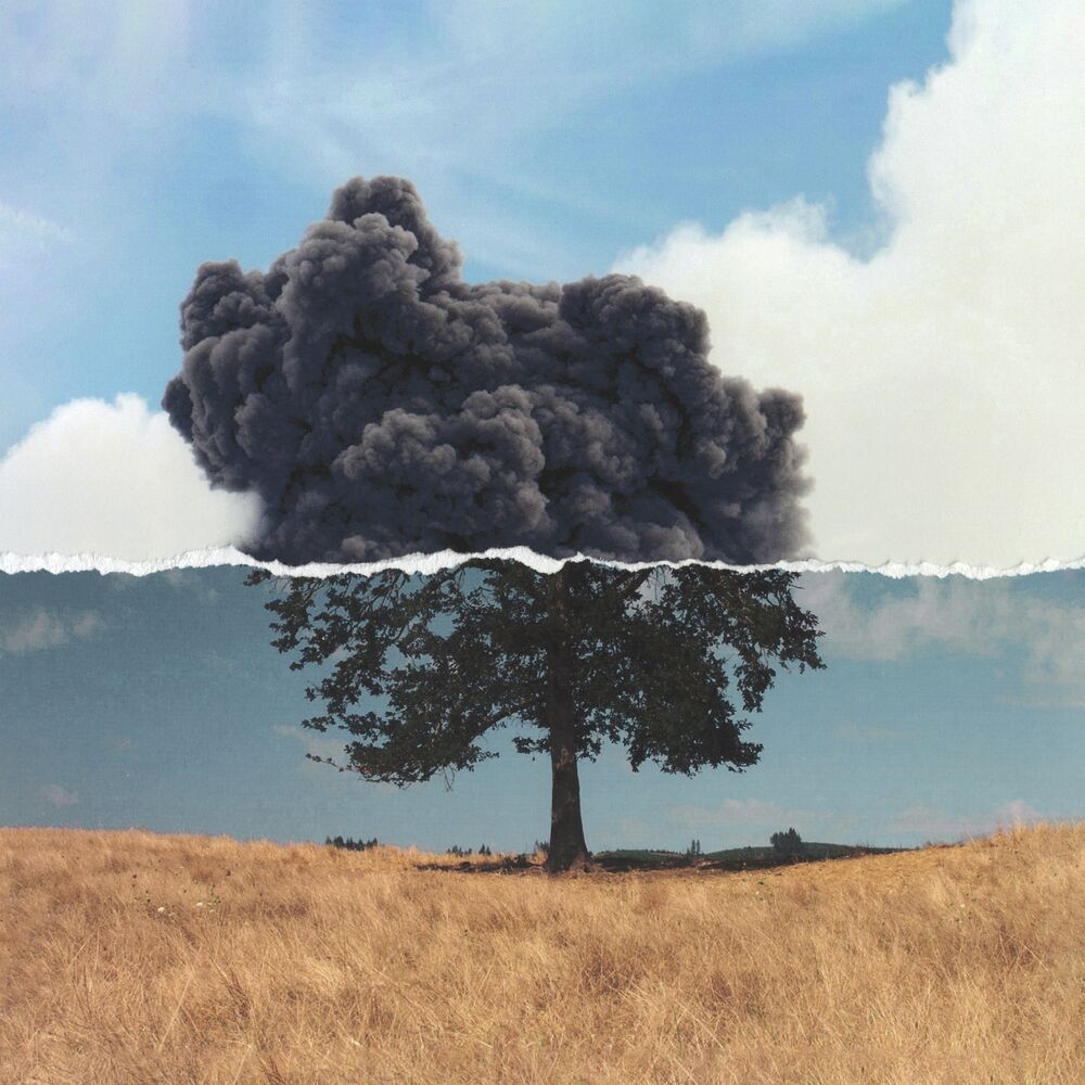 Picture of Cognition