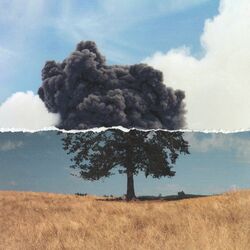 Cover of Cognition