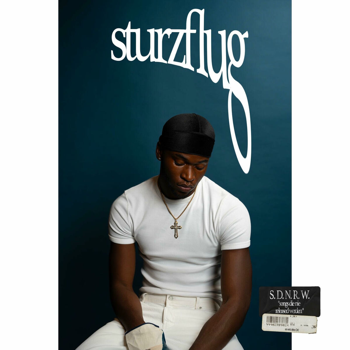 Album cover of sturzflug (songs die nie released werden)