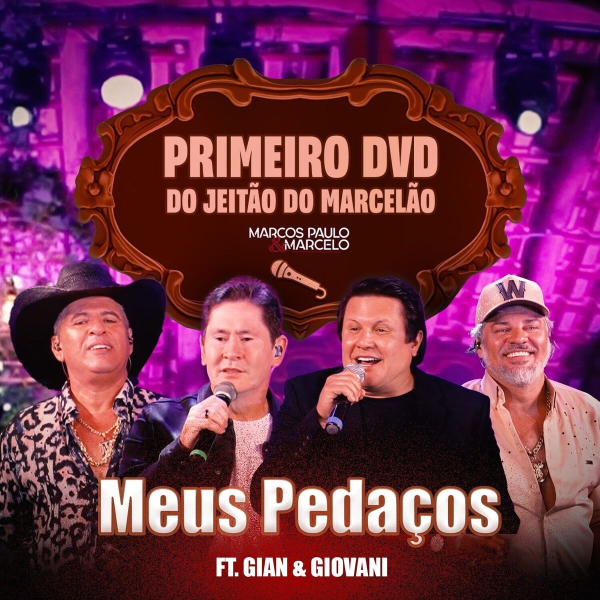 Album cover of Meus Pedaços (Ao Vivo)