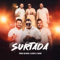 Cover of Surtada