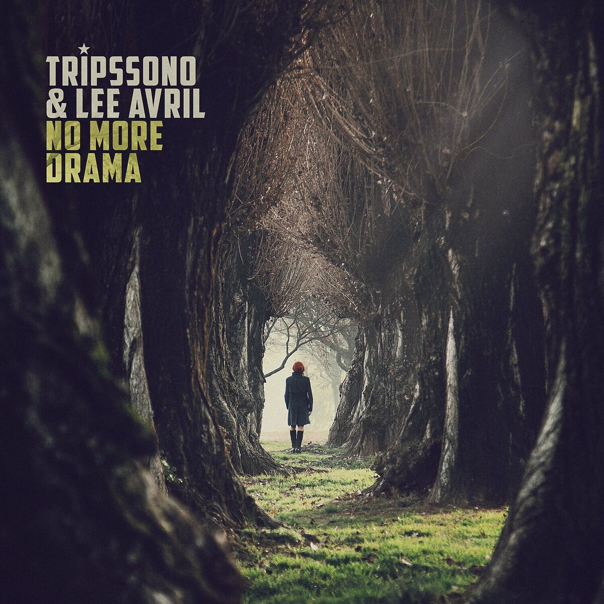 Album cover of No More Drama
