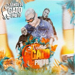 Cover of Verão do Gato Preto