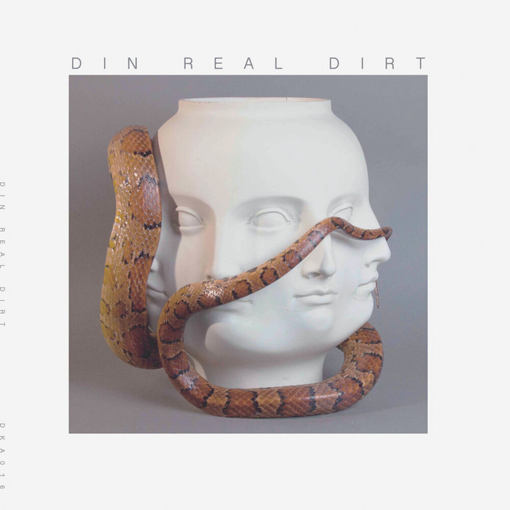 Picture of Real Dirt