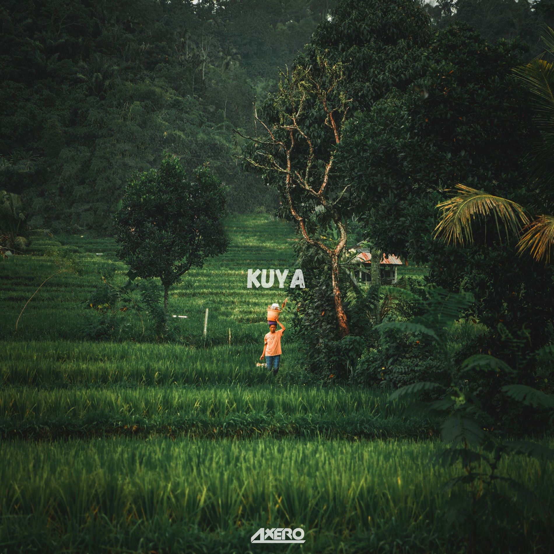 Album cover of Kuya