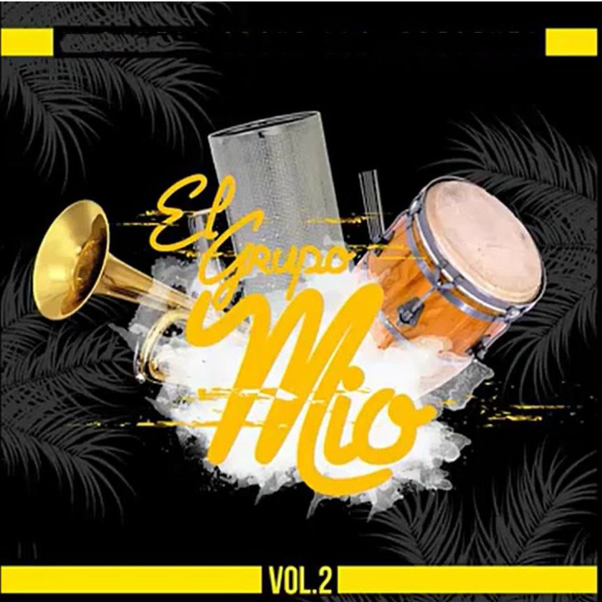 Album cover of Grupo Mio, Vol.2 (En Vivo)