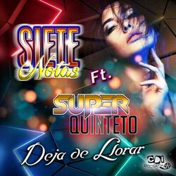 Cover of Deja de llorar