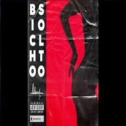 Cover of Bicho Solto