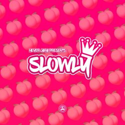 Cover of Slowly