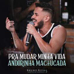 Cover of Pra Mudar Minha Vida / Andorinha Machucada (Acústico no Churrasco 3) (Ao Vivo)
