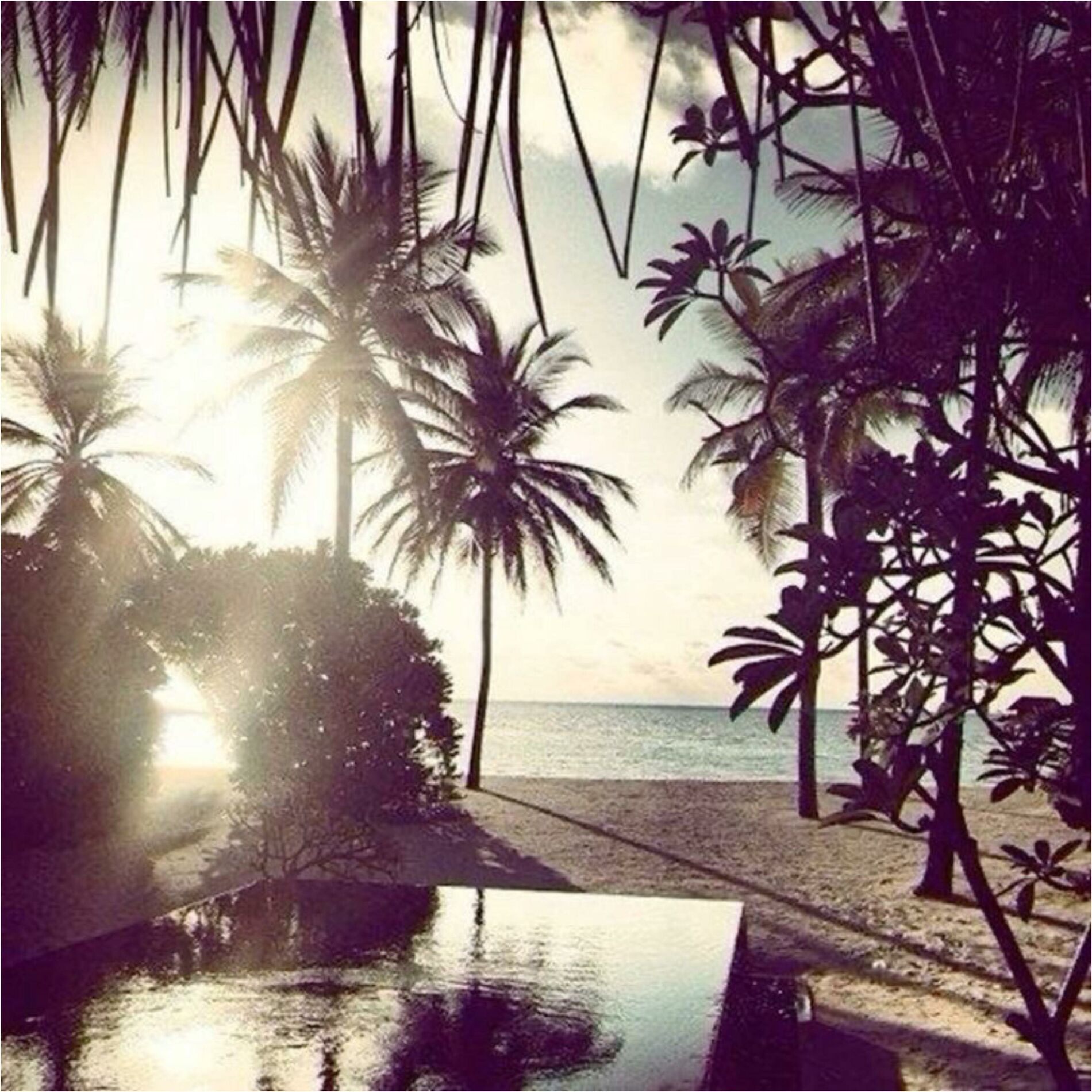 Album cover of Lost In LA