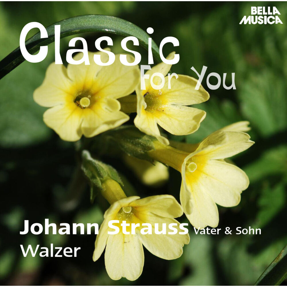 Picture of Classic for You: Strauss: Walzer