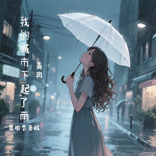 我的城市下起了雨 (氛围节奏版)