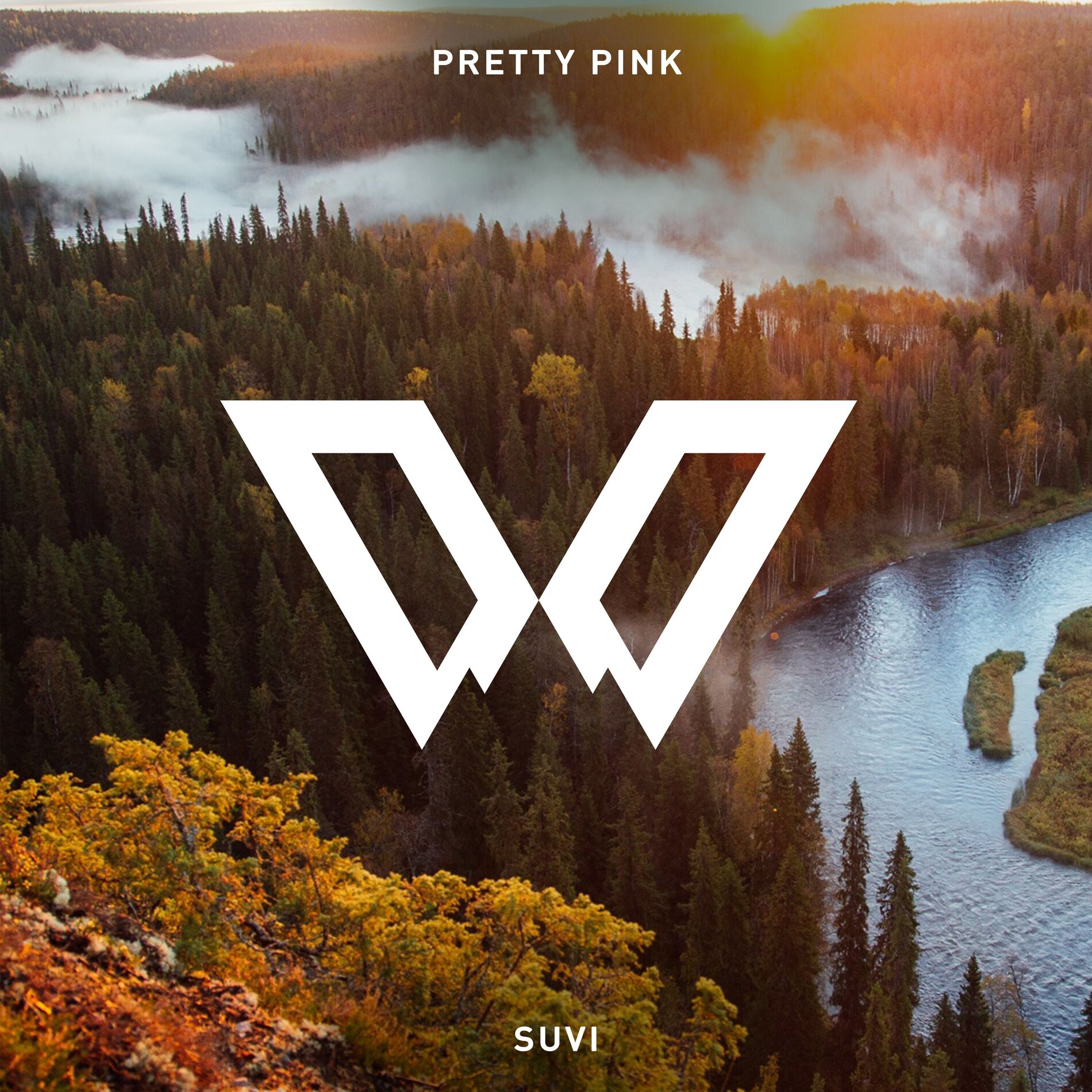 Album cover of Suvi