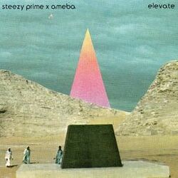Cover of elevate