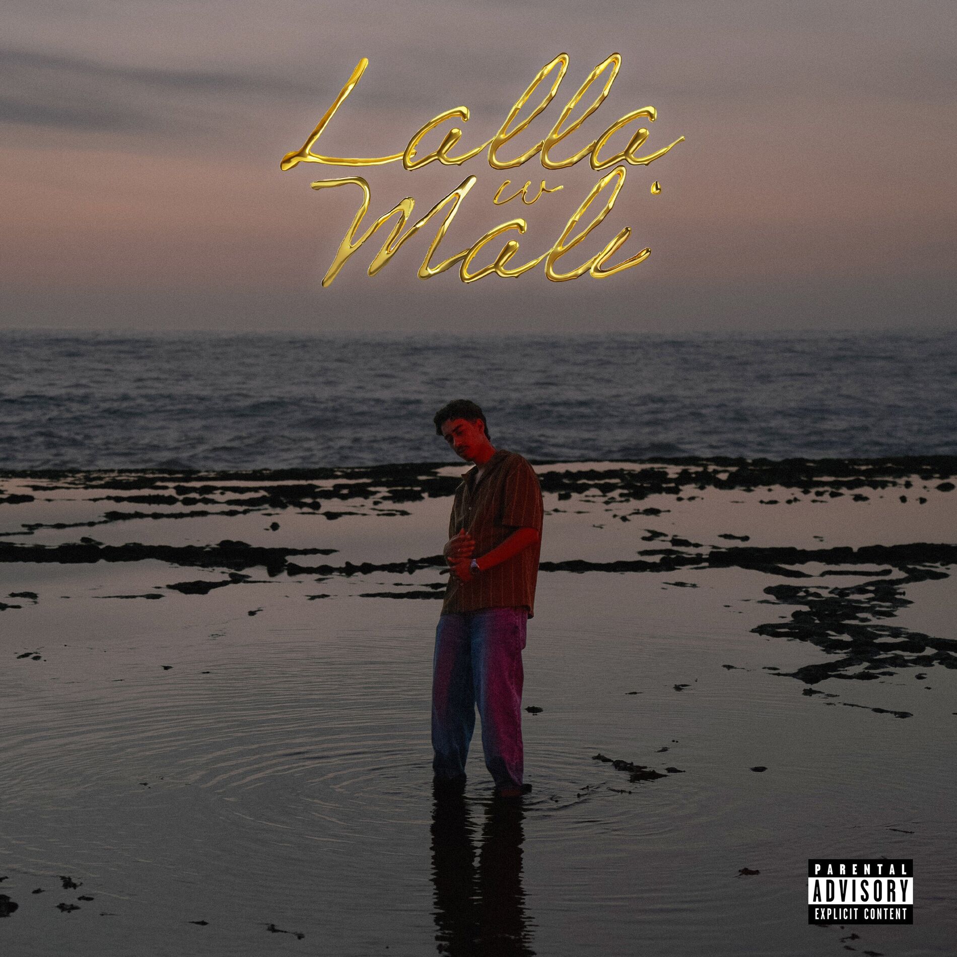Album cover of Lalla w Mali