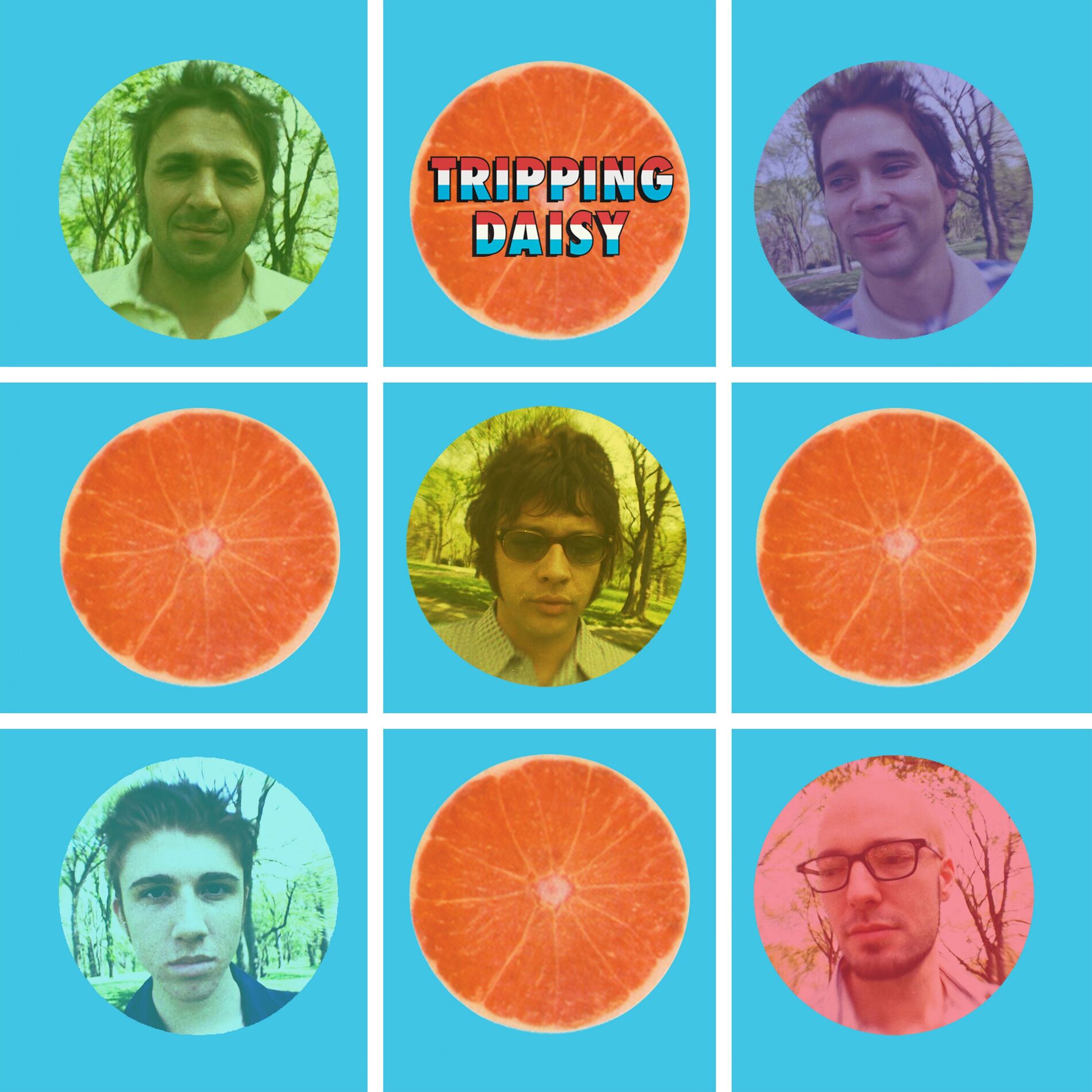 Album cover of Tripping Daisy