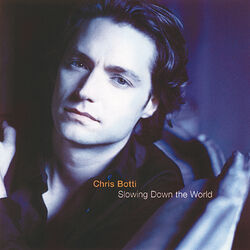 Cover of Slowing Down The World