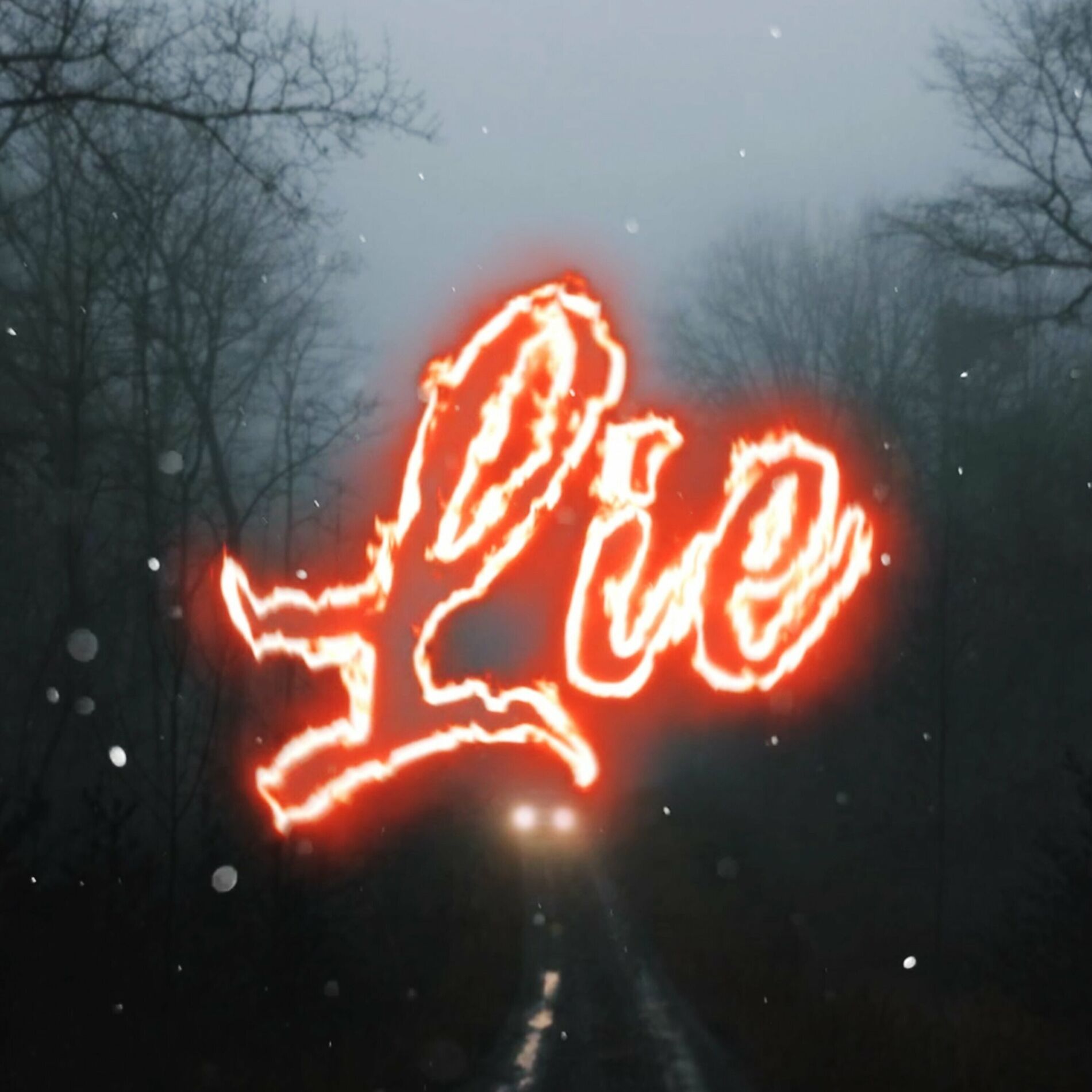 Album cover of Lie