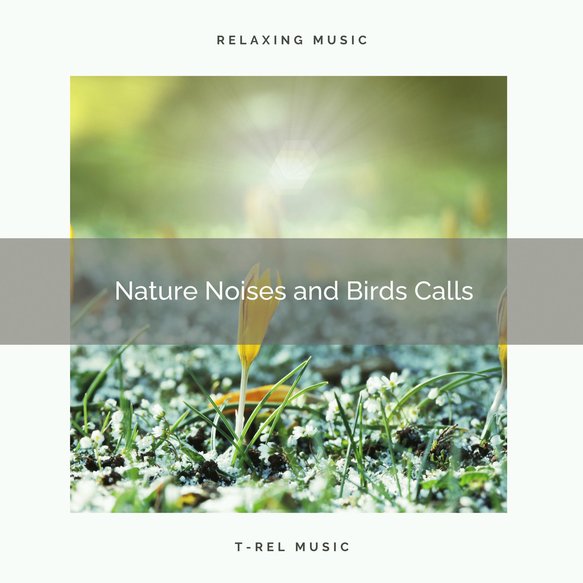 Album cover of ! ! ! ! ! ! ! ! ! ! Nature Noises and Birds Calls