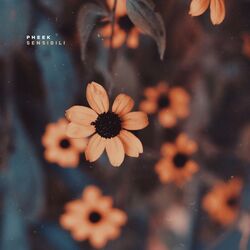 Cover of Sensibili