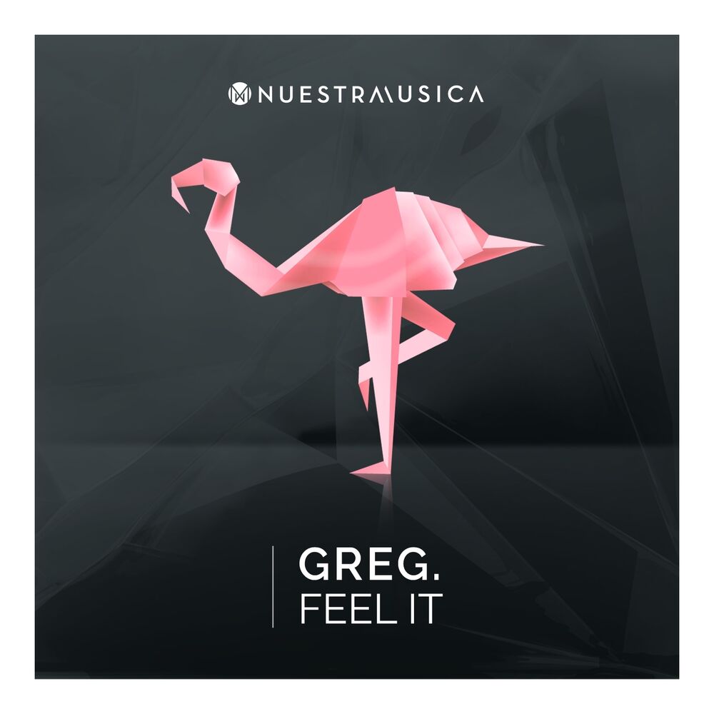 Picture of Feel It