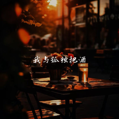 我与孤独把酒 (饮尽前尘酒语录)