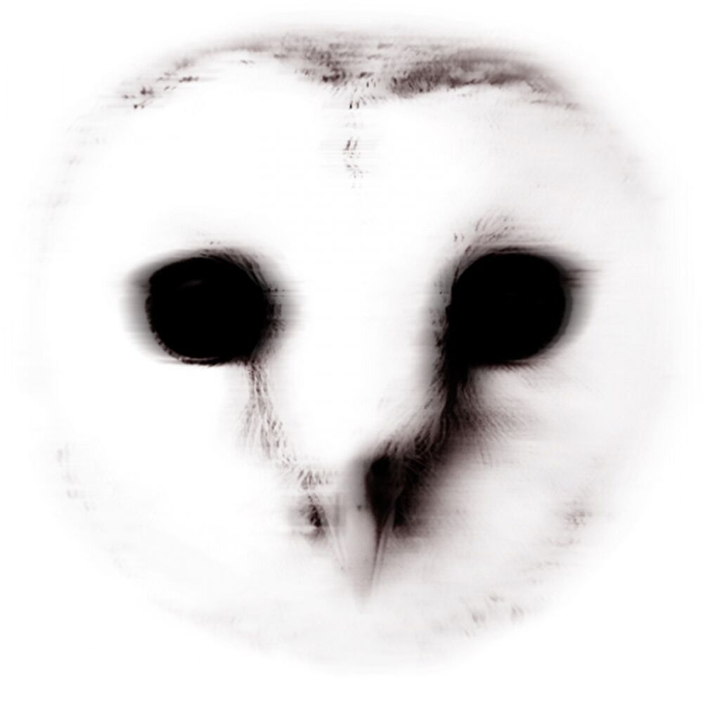 Picture of The Wisdom Of Crowds EP