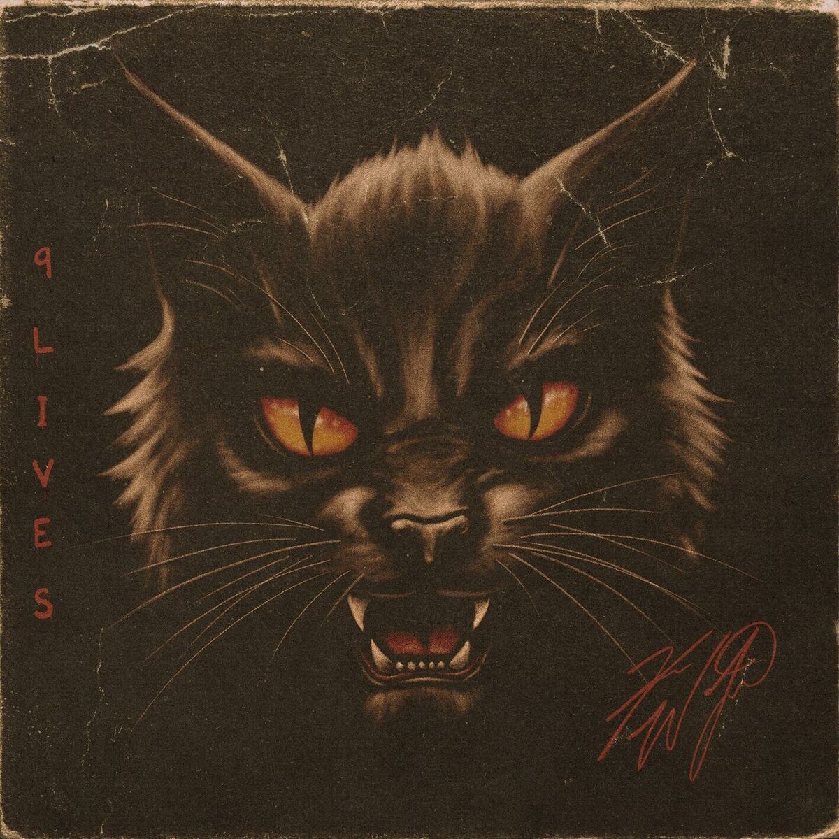 Album cover of 9 Lives (Black Cat)