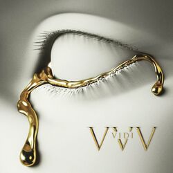 Cover of VIDI