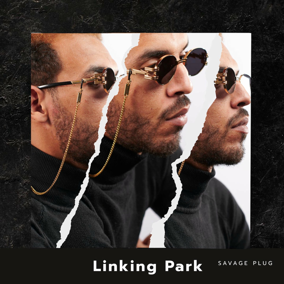 Album cover of Linking Park
