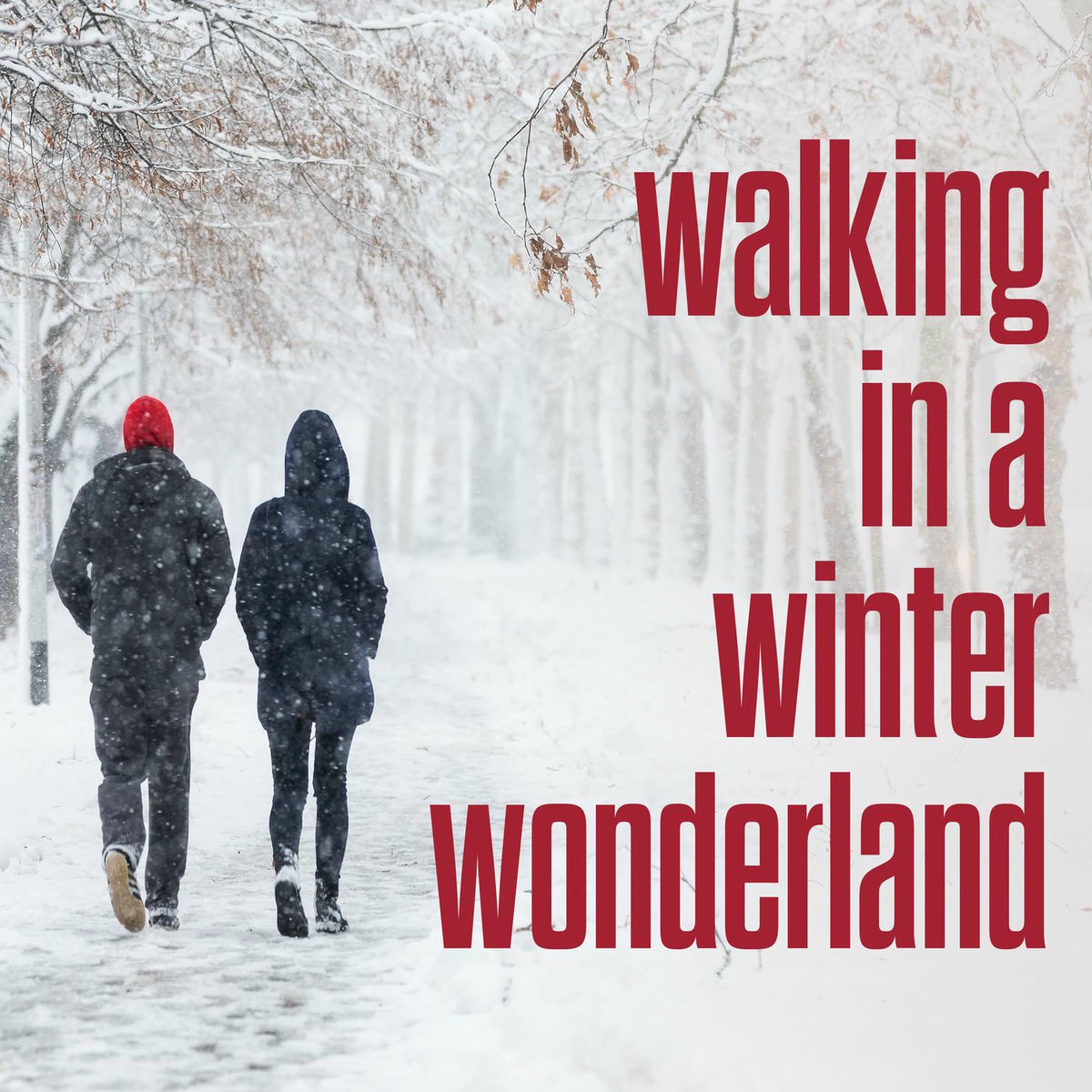 Album cover of walking in a winter wonderland