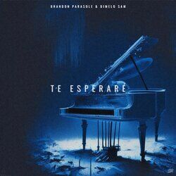 Cover of te esperaré