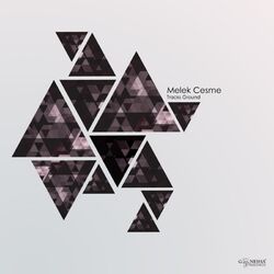 Cover of Tracks Ground
