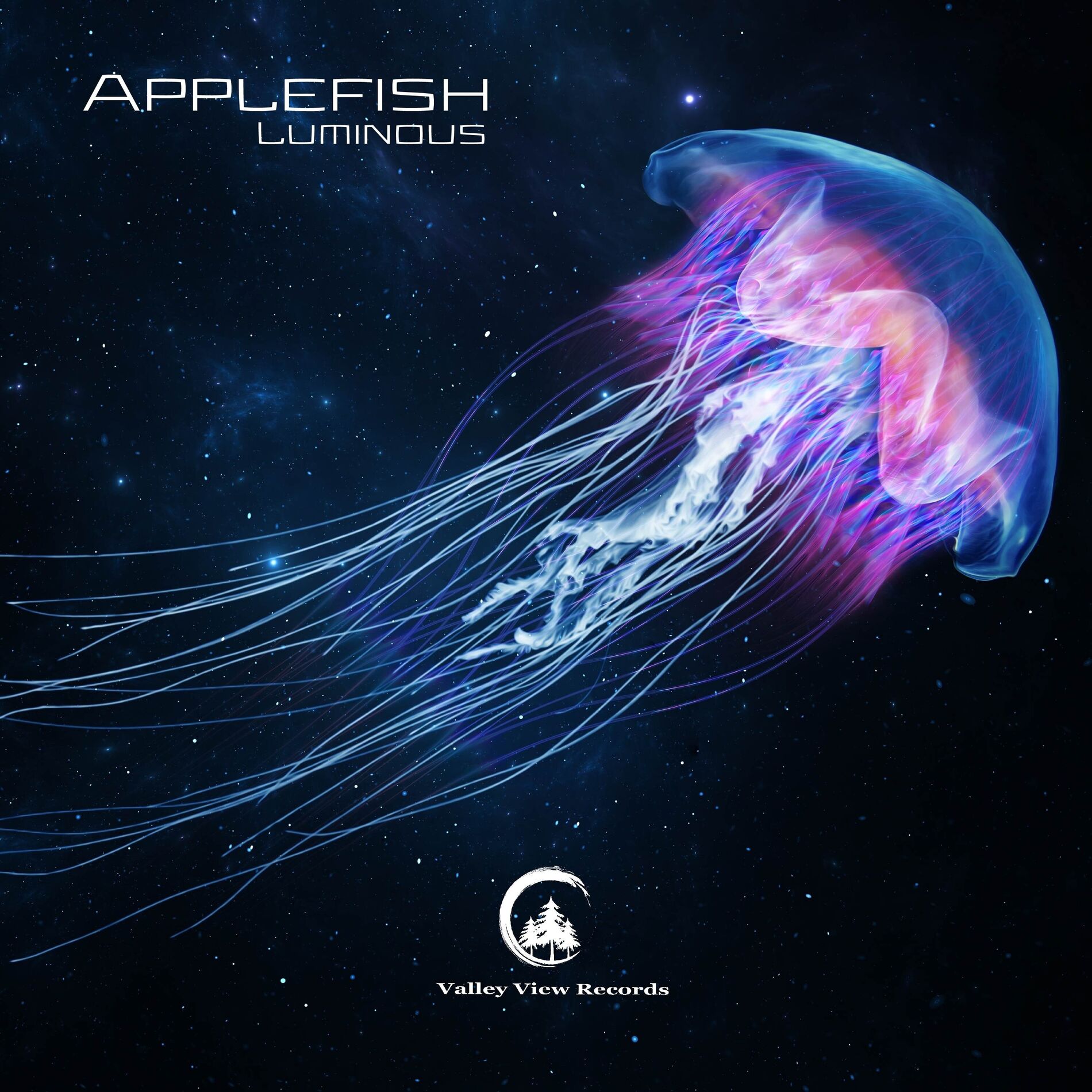 Album cover of Luminous