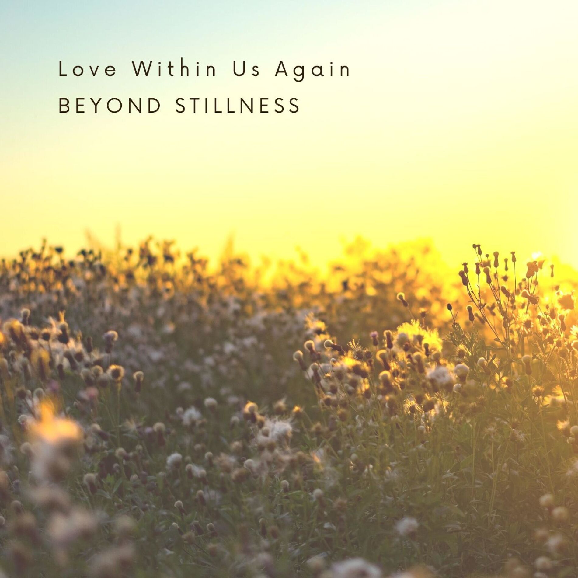 Album cover of Love Within Us Again
