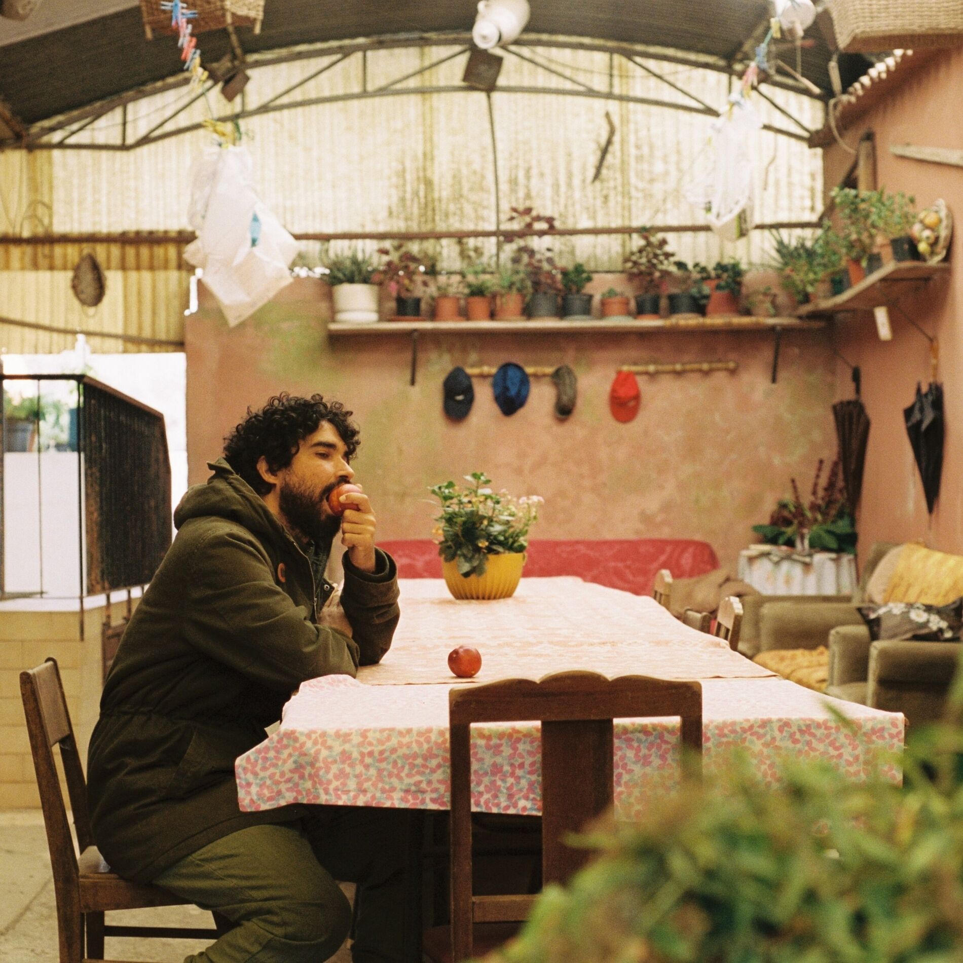 Album cover of Amor a Vera