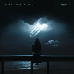 Cover of Eternity