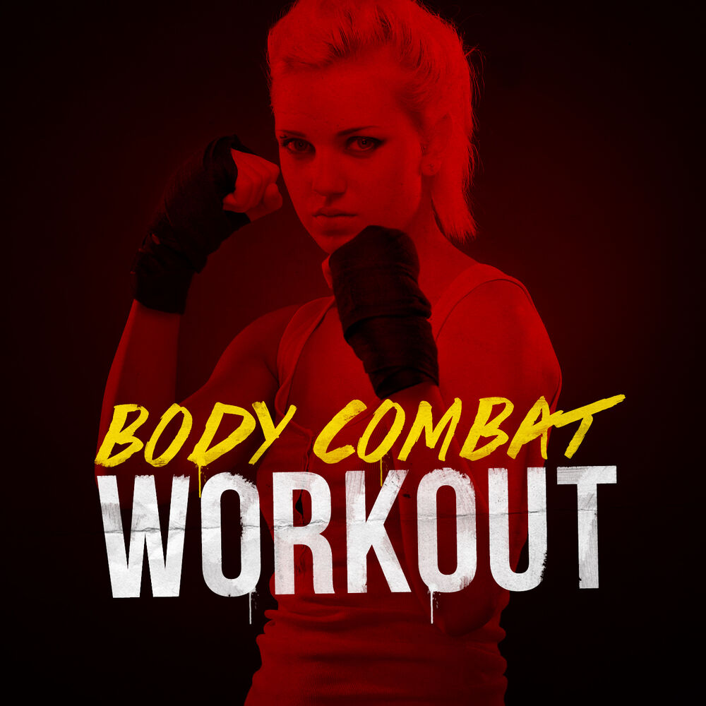 Picture of Body Combat Workout
