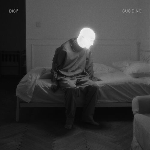 DIGI¹ artwork