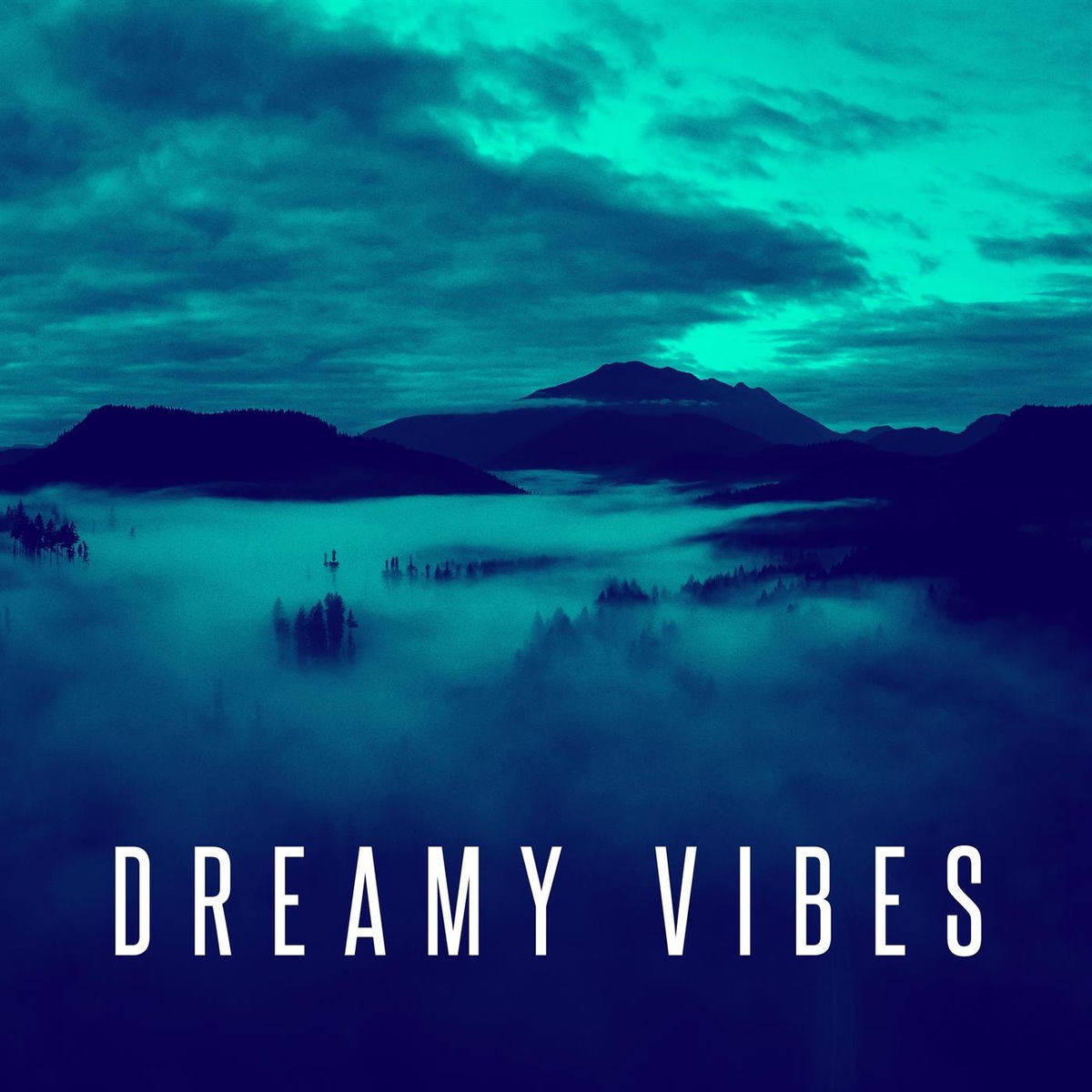 Album cover of Dreamy Vibes