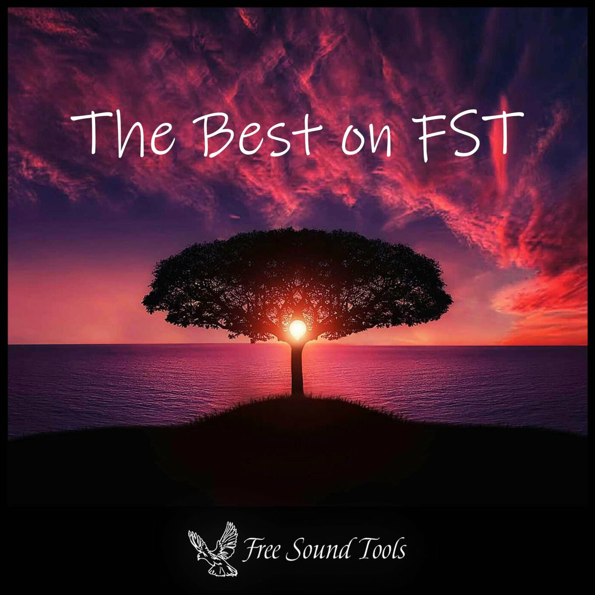 Album cover of The Best on FST