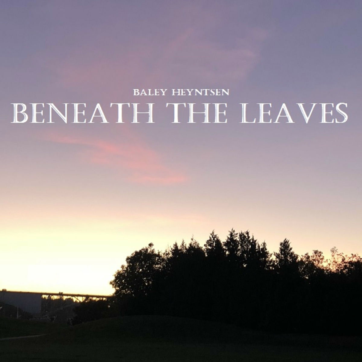 Album cover of Beneath the Leaves