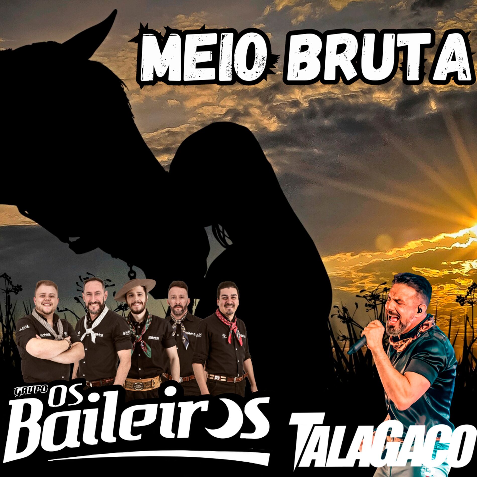 Album cover of Meio Bruta