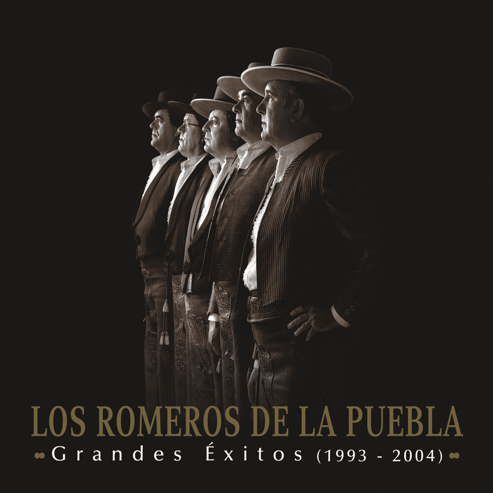 Picture of Grandes Exitos 1993-2004