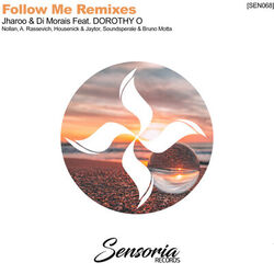 Cover of Follow Me Remixes