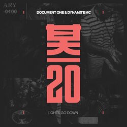 Cover of Lights Go Down