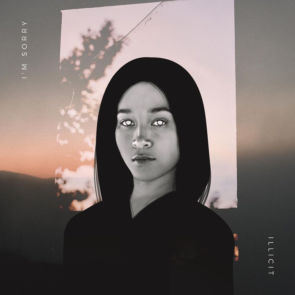 Picture of I'm Sorry (feat. Emil)