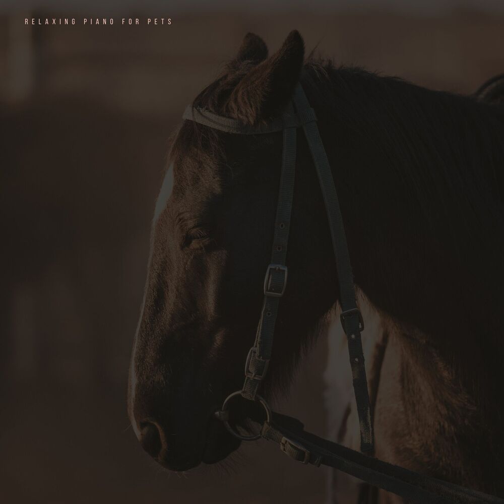 Picture of Music For Horses