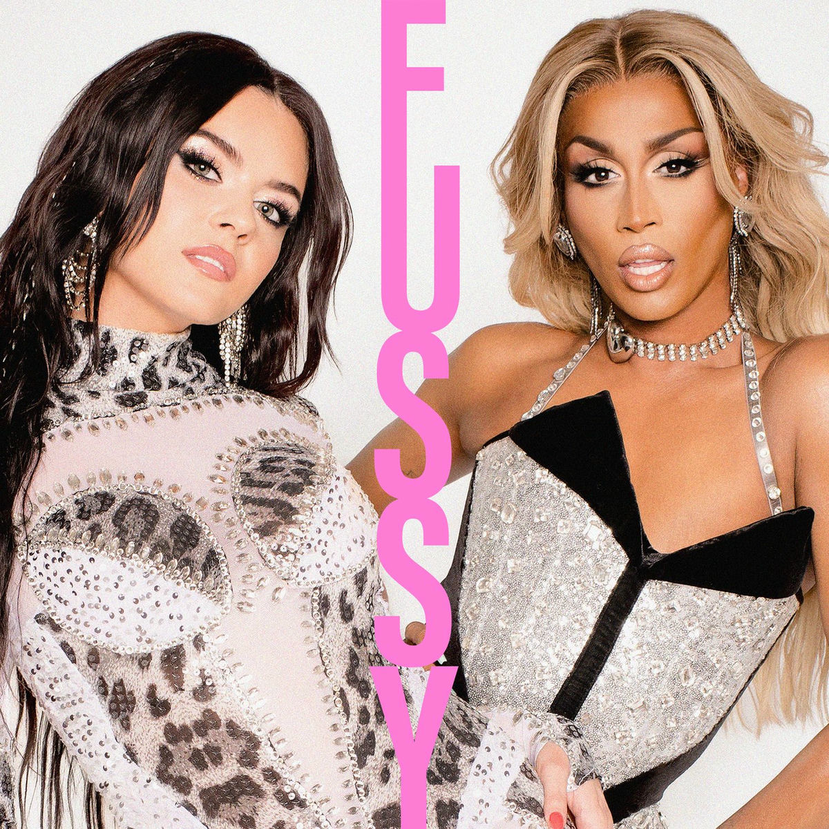 Album cover of Fussy